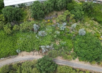 DJI_0247.JPG - Terreno agricolo Via delle Otto Case 1, Ventimiglia - foto 1