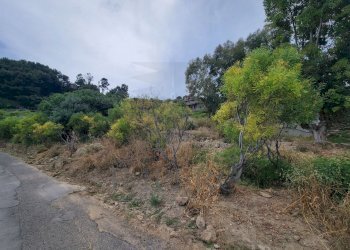 0ed301c8-cfcf-49e7-8332-8f8392182fab.jpeg - Terreno agricolo Via delle Otto Case 1, Ventimiglia - foto 3