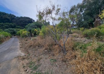 3e4be814-0496-46ea-8d72-e0065edb2253.jpeg - Terreno agricolo Via delle Otto Case 1, Ventimiglia - foto 4