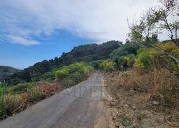 8d2ea0b4-8850-4ea3-98b6-b4584309e3cf.jpeg - Terreno agricolo Via delle Otto Case 1, Ventimiglia - foto 5