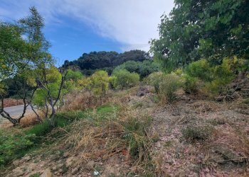 32e6c472-4ee6-47eb-b857-f9ebebd0d16b.jpeg - Terreno agricolo Via delle Otto Case 1, Ventimiglia - foto 6