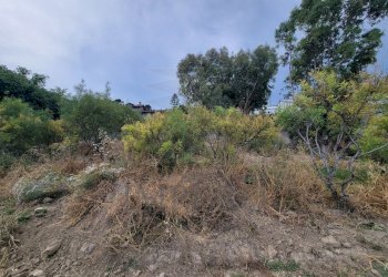 42f56da2-fb1b-4b74-995d-2c5b73620821.jpeg - Terreno agricolo Via delle Otto Case 1, Ventimiglia - foto 7