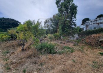 252c9980-b51d-405b-aca9-5970c3822eea.jpeg - Terreno agricolo Via delle Otto Case 1, Ventimiglia - foto 9