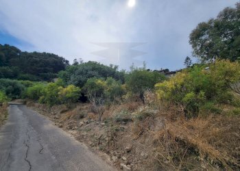 813defda-27fd-424a-b624-3cf2495f9485.jpeg - Terreno agricolo Via delle Otto Case 1, Ventimiglia - foto 10