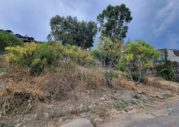 bcdcd760-aaa0-4ffb-a885-c221c0ce3110.jpeg - Terreno agricolo Via delle Otto Case 1, Ventimiglia - foto 12