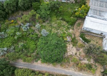 DJI_0244.JPG - Terreno agricolo Via delle Otto Case 1, Ventimiglia - foto 14