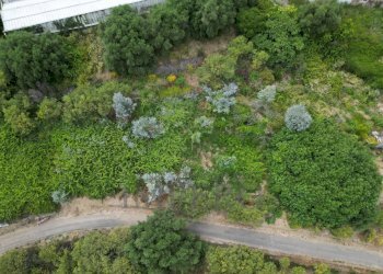 DJI_0245.JPG - Terreno agricolo Via delle Otto Case 1, Ventimiglia - foto 15