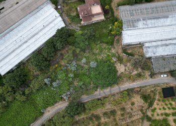 DJI_0249.JPG - Terreno agricolo Via delle Otto Case 1, Ventimiglia - foto 16