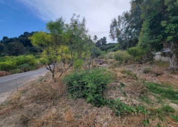 e9aa2695-938d-49cd-bd9f-a5fbe89a0e7b.jpeg - Terreno agricolo Via delle Otto Case 1, Ventimiglia - foto 17