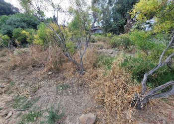 fcf6b4a3-edd6-4aaa-9ba0-1146bac8d068.jpeg - Terreno agricolo Via delle Otto Case 1, Ventimiglia - foto 18