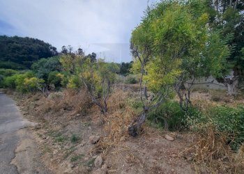 fe053fcc-9134-42c0-a80e-8de1d4ad38a8.jpeg - Terreno agricolo Via delle Otto Case 1, Ventimiglia - foto 19