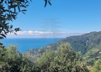 vista - Villa Via Nappio 24, Ventimiglia - foto 29