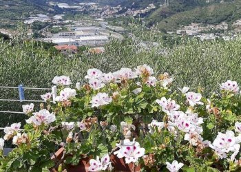 vista - Independent house Via Ciappin 175, Ventimiglia - photo 15