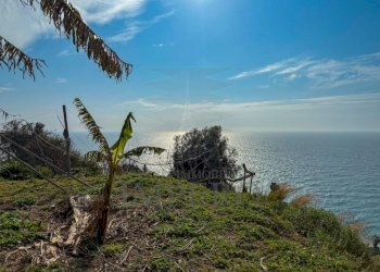 giardino - Villa Strada della Cava 18, Bordighera - foto 20