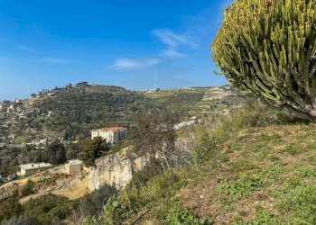 giardino - Villa Strada della Cava 18, Bordighera - foto 21