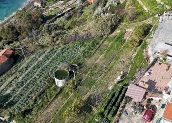 DJI_20250306095633_0211_D.JPG - Porzione di casa Corso A. Toscanini 15, Ventimiglia - foto 13