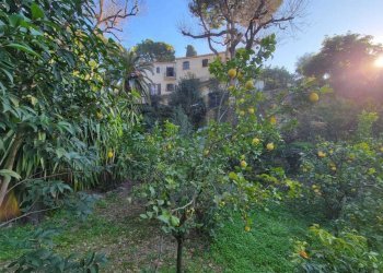 giardino - Villa Via Vincenzo Gioberti 11, Bordighera - foto 24