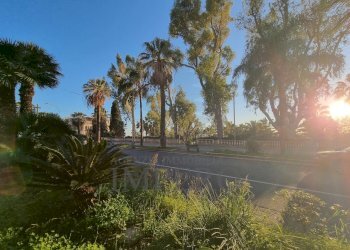 vista - Ristorante Corso Regina Margherita 24, Ospedaletti - foto 14