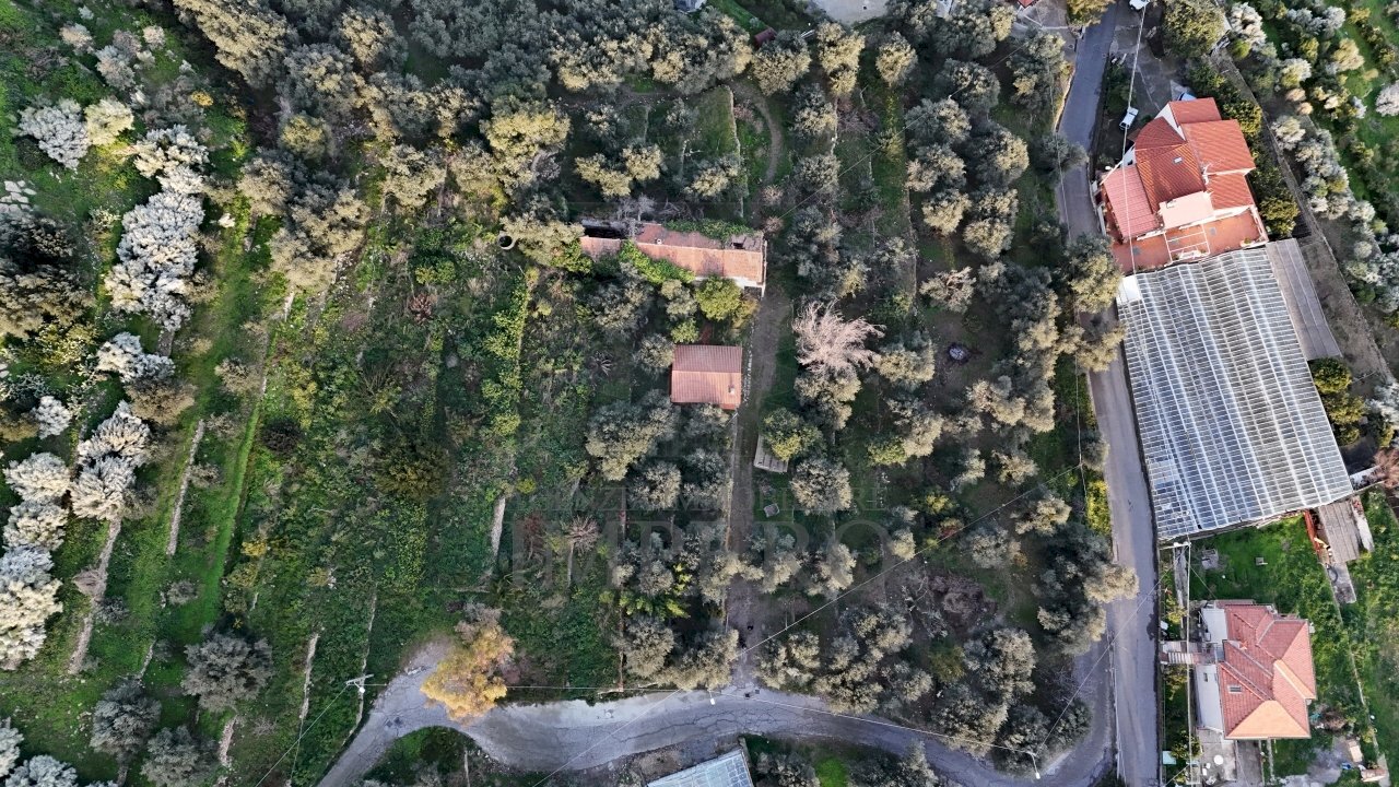 terreno - Agricultural land Via Gallina, Bordighera - photo 2