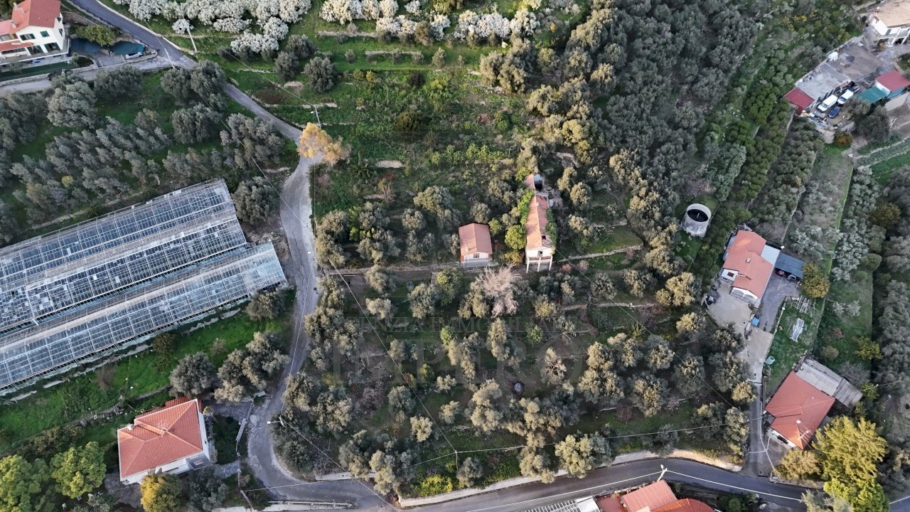 terreno - Agricultural land Via Gallina, Bordighera - photo 3