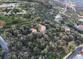 terreno - Terreno agricolo Via Gallina, Bordighera - foto 1