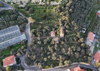 terreno - Terreno agricolo Via Gallina, Bordighera - foto 3