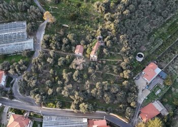 terreno - Terreno agricolo Via Gallina, Bordighera - foto 4