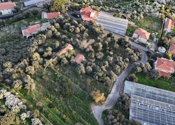 terreno - Terreno agricolo Via Gallina, Bordighera - foto 5