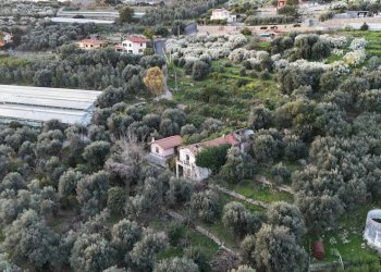 terreno - Terreno agricolo Via Gallina, Bordighera - foto 7