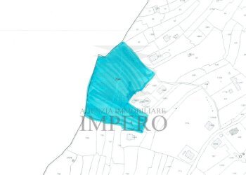 mappa ter1.png - Terreno agricolo Via Gallina, Bordighera - foto 8
