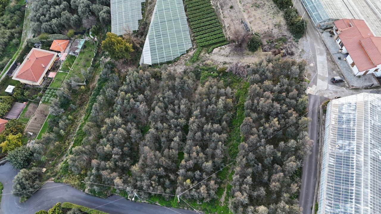 terreno - Agricultural land Via Gallina, Bordighera - photo 1