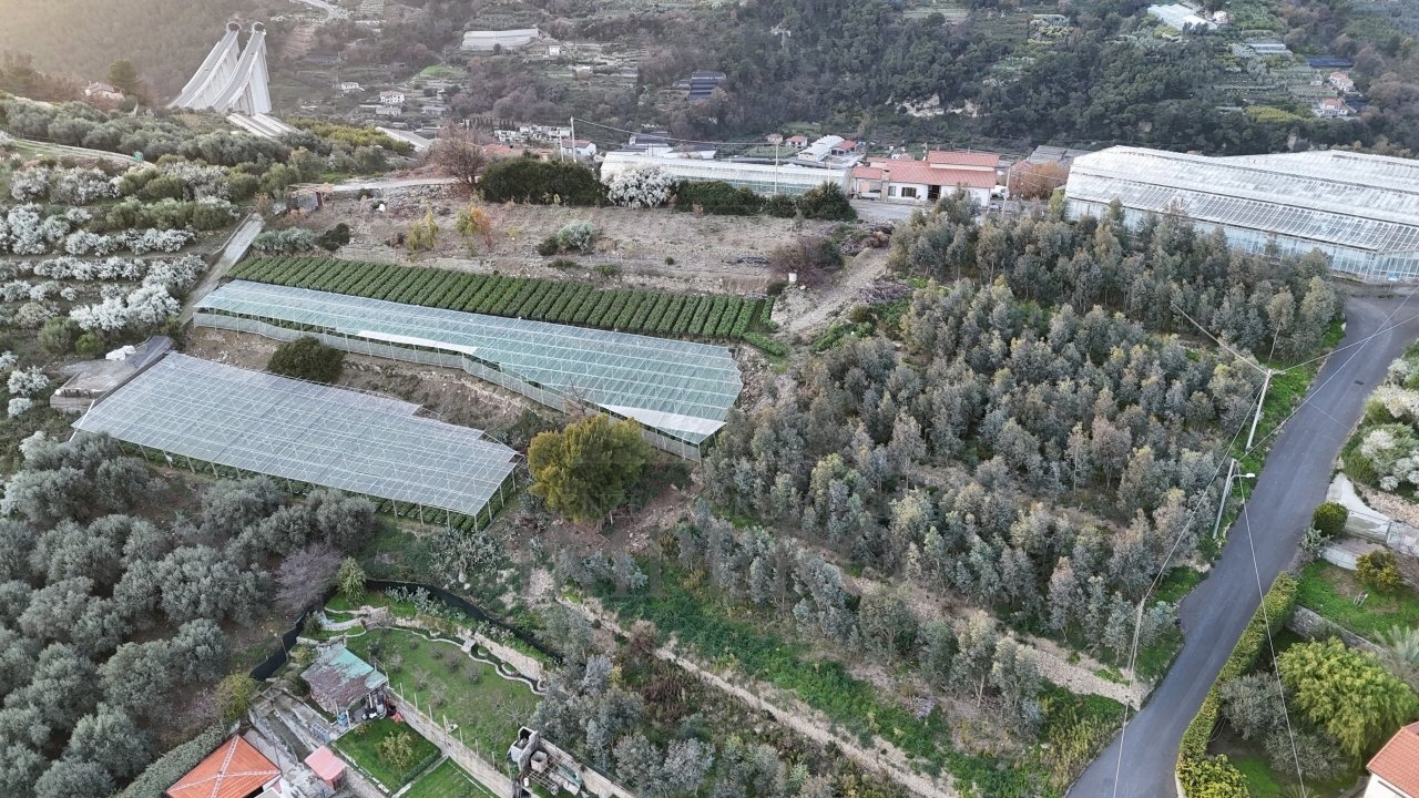 terreno - Agricultural land Via Gallina, Bordighera - photo 2