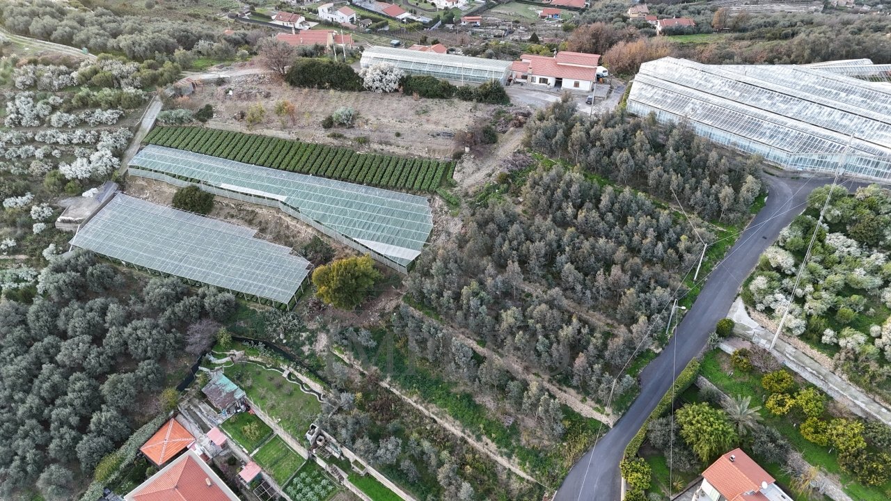 terreno - Agricultural land Via Gallina, Bordighera - photo 3