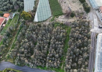 terreno - Terreno agricolo Via Gallina, Bordighera - foto 1