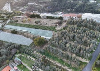 terreno - Terreno agricolo Via Gallina, Bordighera - foto 2