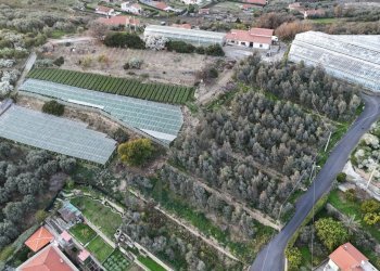 terreno - Terreno agricolo Via Gallina, Bordighera - foto 3