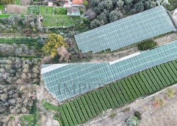 terreno - Terreno agricolo Via Gallina, Bordighera - foto 4