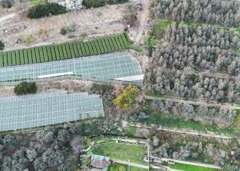 terreno - Terreno agricolo Via Gallina, Bordighera - foto 5