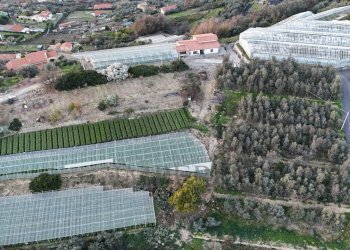 terreno - Terreno agricolo Via Gallina, Bordighera - foto 6