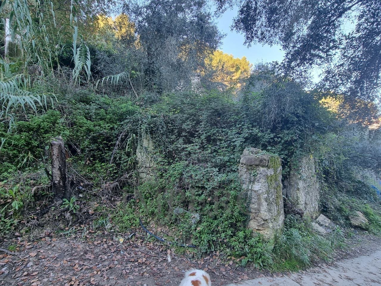 rustico - Terreno agricolo Strada degli Olandesi, Camporosso - foto 2