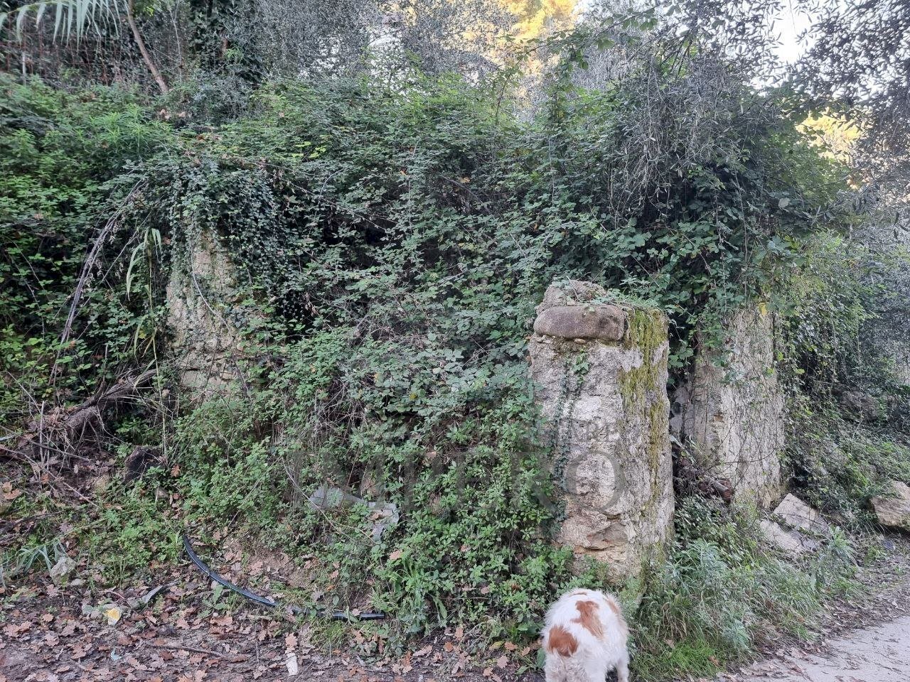 rustico - Terreno agricolo Strada degli Olandesi, Camporosso - foto 3