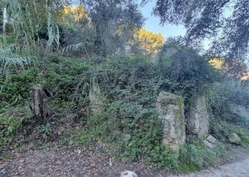 rustico - Terreno agricolo Strada degli Olandesi, Camporosso - foto 2