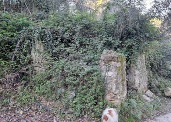 rustico - Terreno agricolo Strada degli Olandesi, Camporosso - foto 3