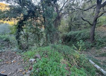 Terreno agricolo Strada degli Olandesi, Camporosso - foto 4