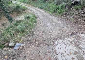 confine - Terreno agricolo Strada degli Olandesi, Camporosso - foto 5