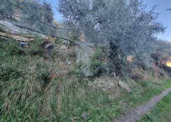 terreno - Terreno agricolo Strada degli Olandesi, Camporosso - foto 9
