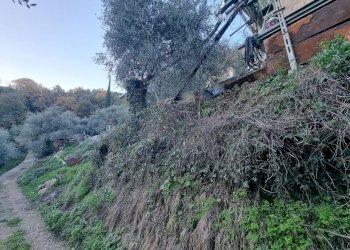 terreno - Terreno agricolo Strada degli Olandesi, Camporosso - foto 10