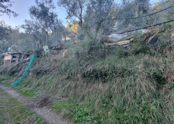 terreno - Terreno agricolo Strada degli Olandesi, Camporosso - foto 14