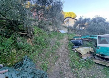 terreno - Terreno agricolo Strada degli Olandesi, Camporosso - foto 16