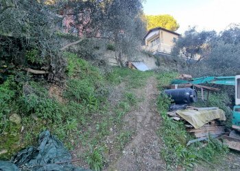 terreno - Terreno agricolo Strada degli Olandesi, Camporosso - foto 17